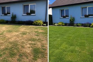 Vedra ničí lidem trávníky na zahradách. Vysychání lze přitom snadno předejít